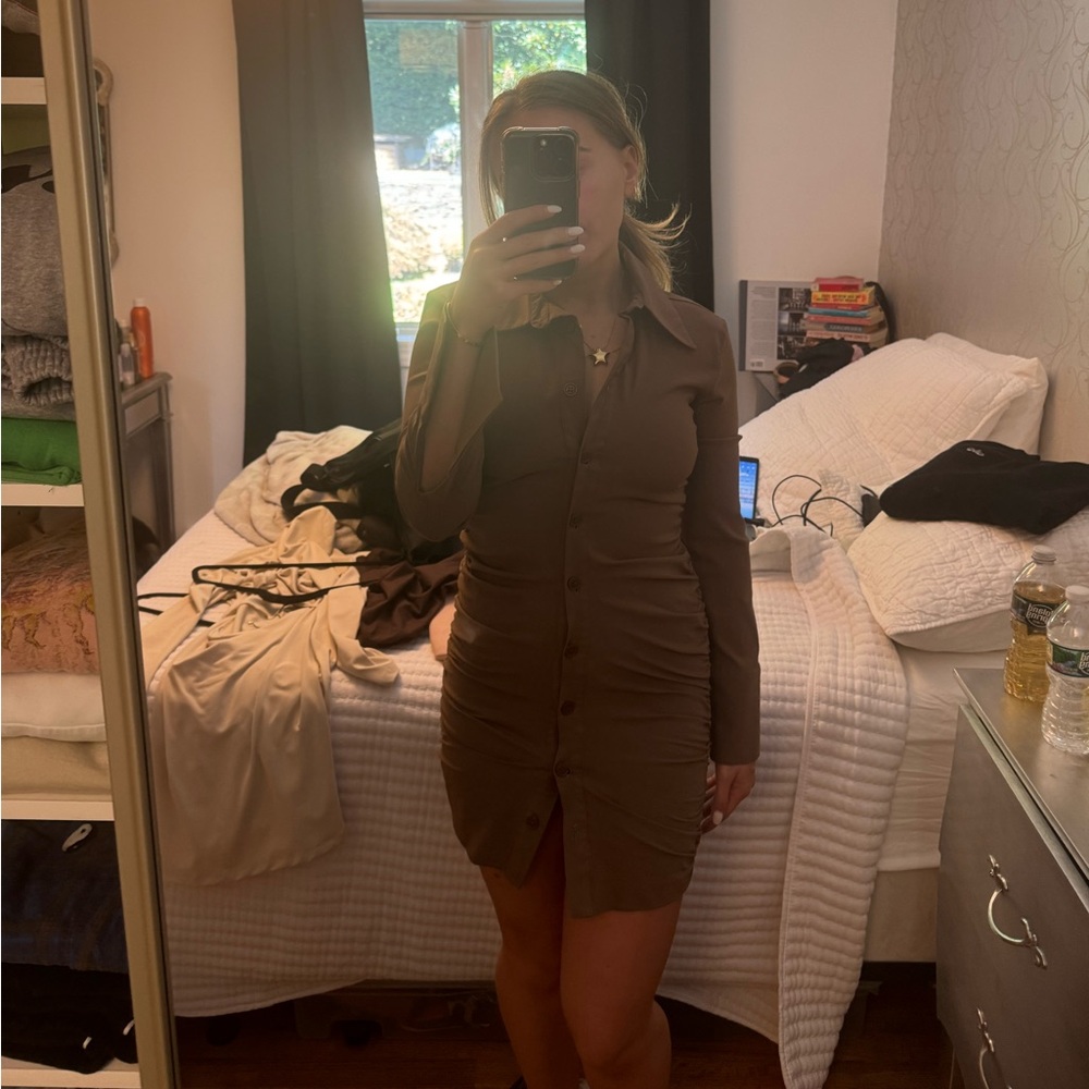 Zara brown button up dress